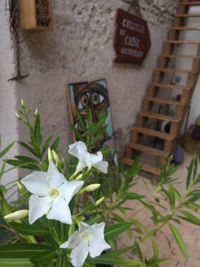 La Grange De La Batone - Bed And Breakfast Messimy-sur-Saone Εξωτερικό φωτογραφία